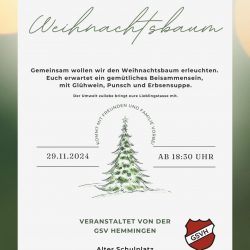 Treffen am Weihnachtsbaum am 29.11.24 ab 18:30 Uhr